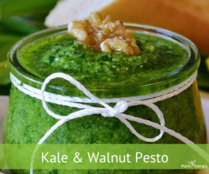 Kale Pesto