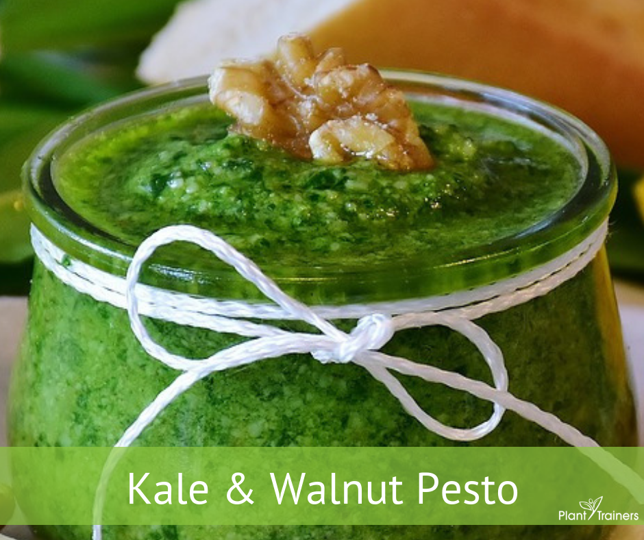 Kale & Walnut Pesto Recipe