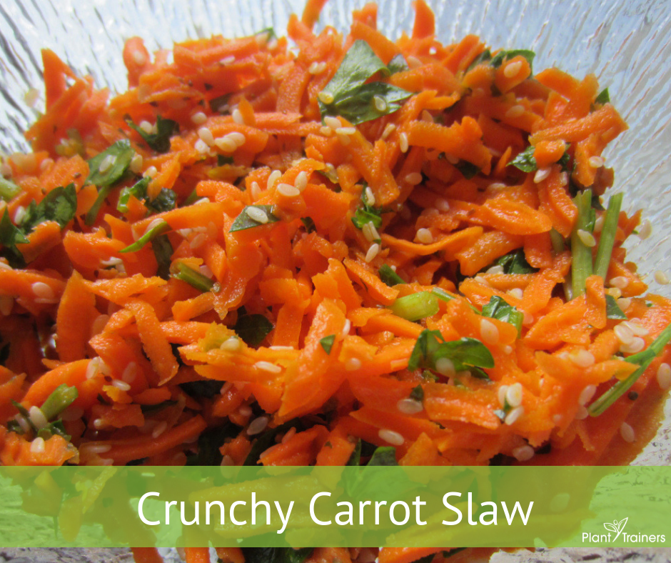 Crunchy Carrot Protein Slaw