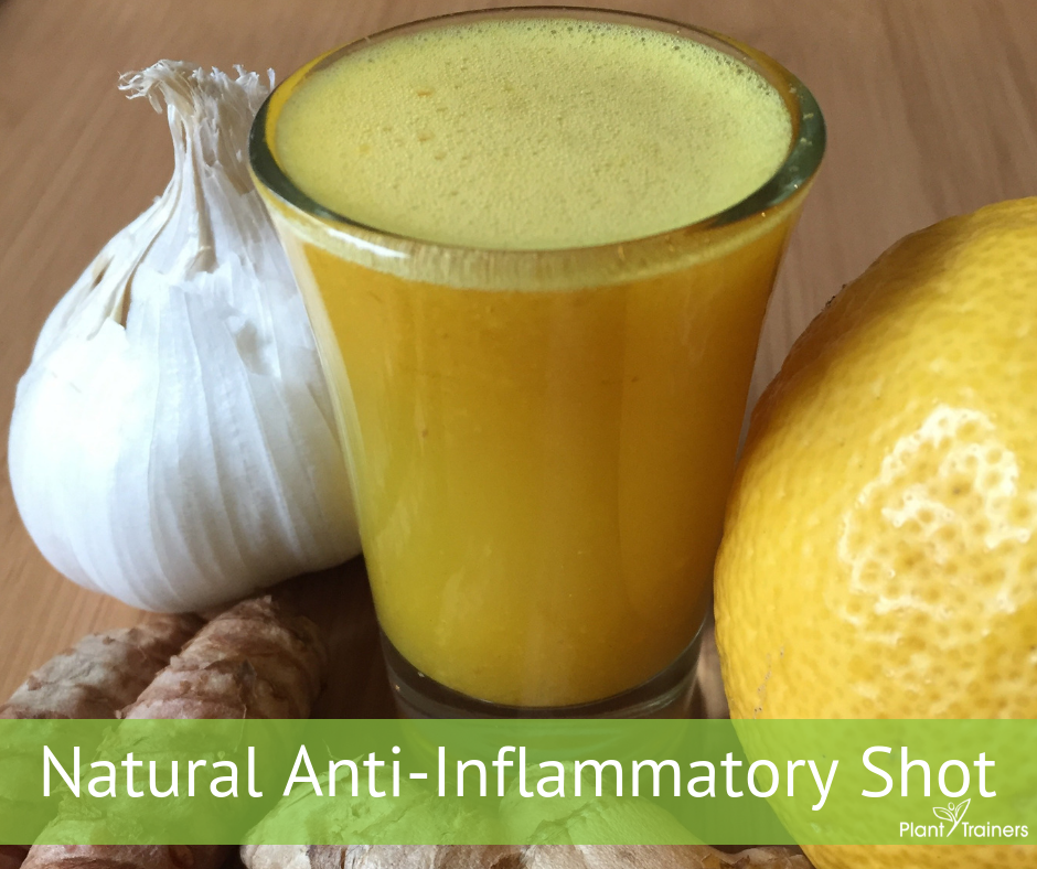 Natural Anti-Inflammatory Shot