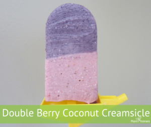 Double Berry Coconut Creamsicle