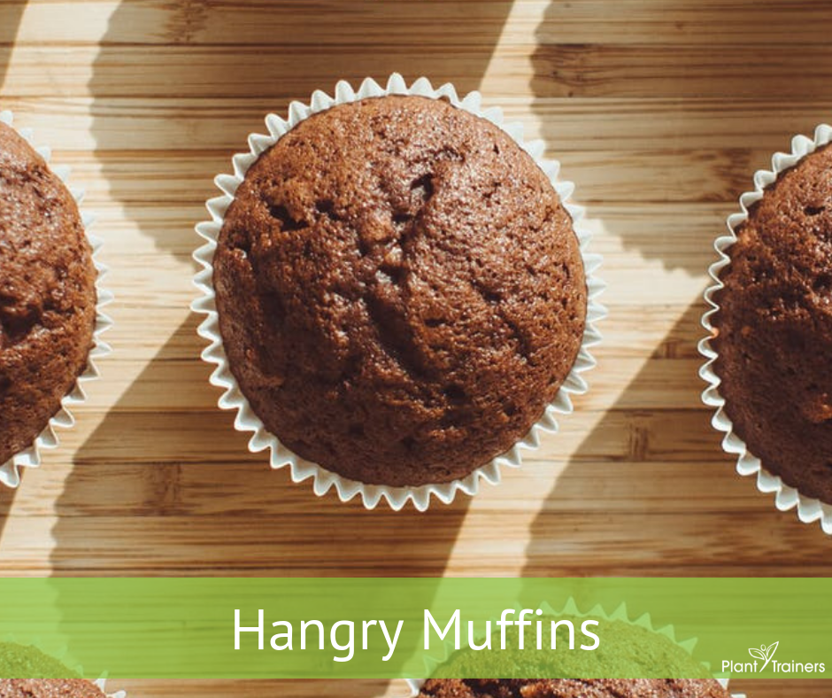 Hangry Muffins