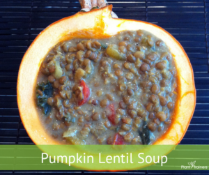 Pumpkin Lentil Soup
