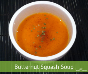 Butternut Squash Soup