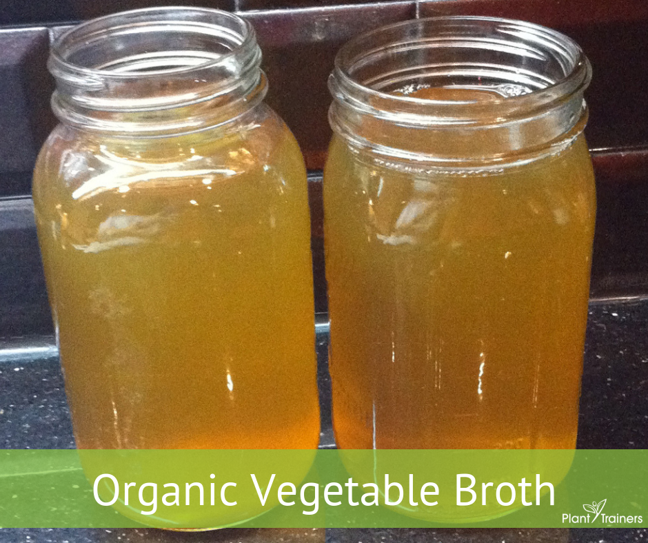 Organic Vegetable Broth