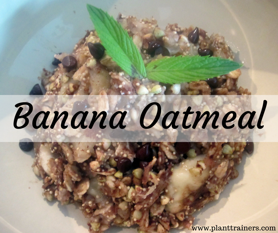 Banana Oatmeal - Plant Trainers