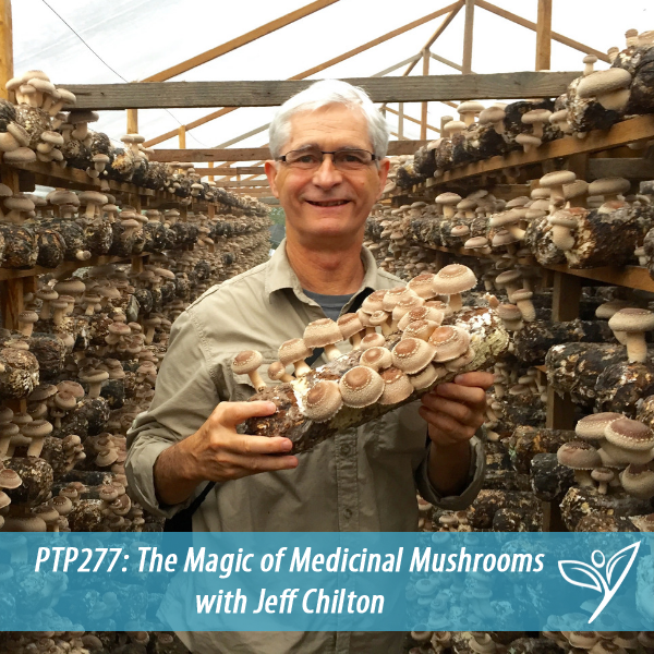 PTP277 - Jeff Chilton Mushroom