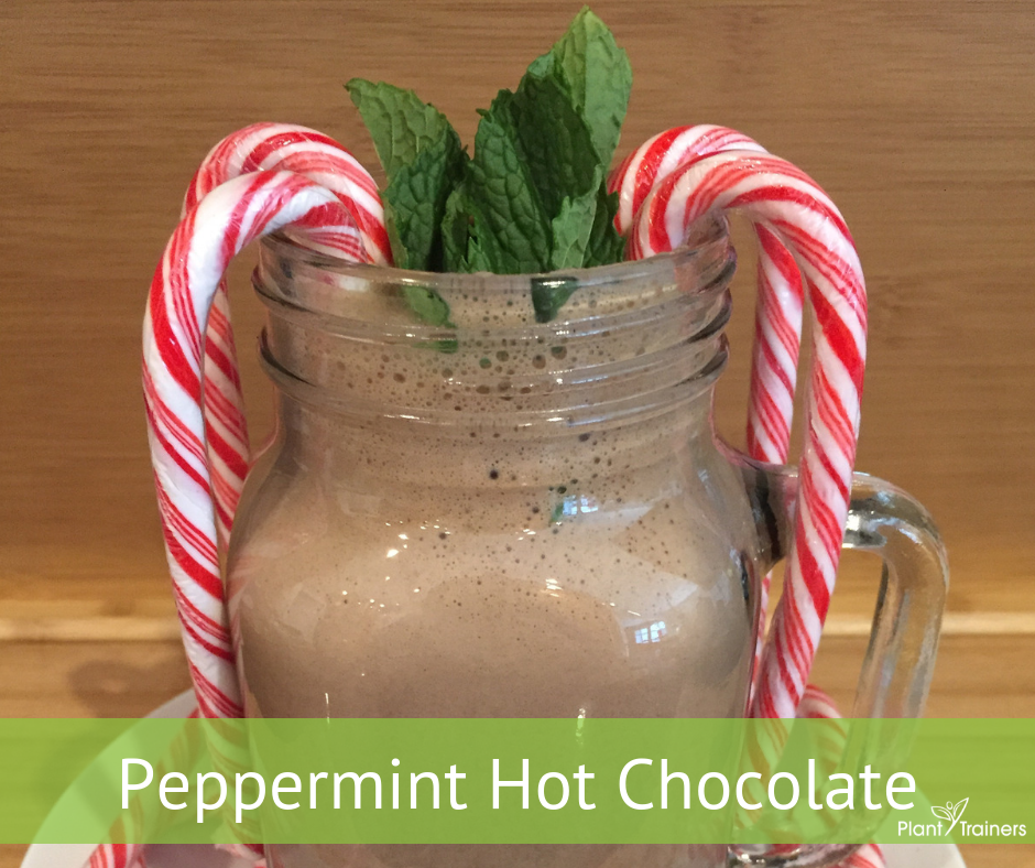 Peppermint Hot Chocolate