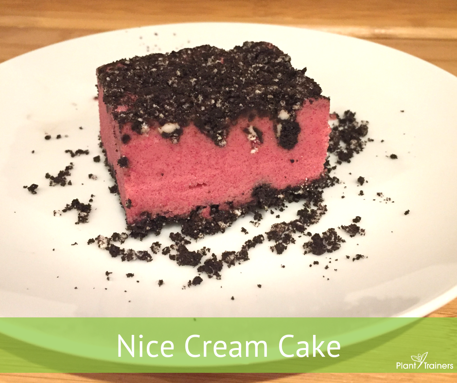 Nice Cream Cake