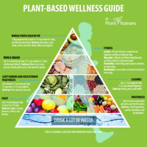 Plant-Based Wellness Guide