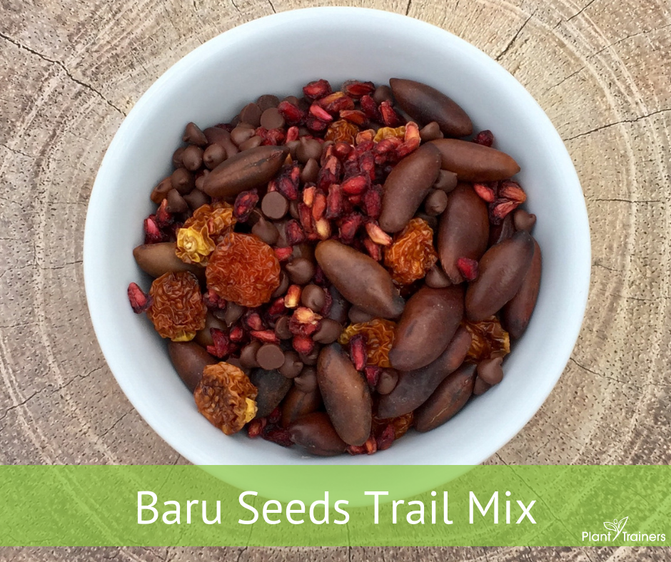 Baru Seeds Trail Mix