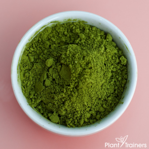 superfood powders