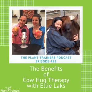 PTP492 - Elie Laks Therapy