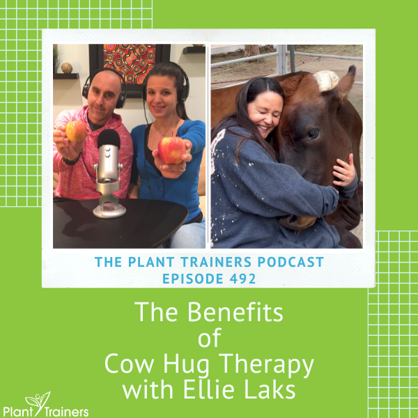 The Benefits of Cow Hug Therapy with Ellie Laks – PTP492